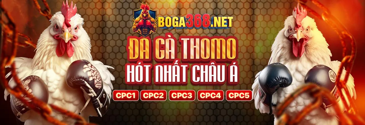 Hình ảnh chính về đá gà trực tuyến R88 trang chủ chính thức